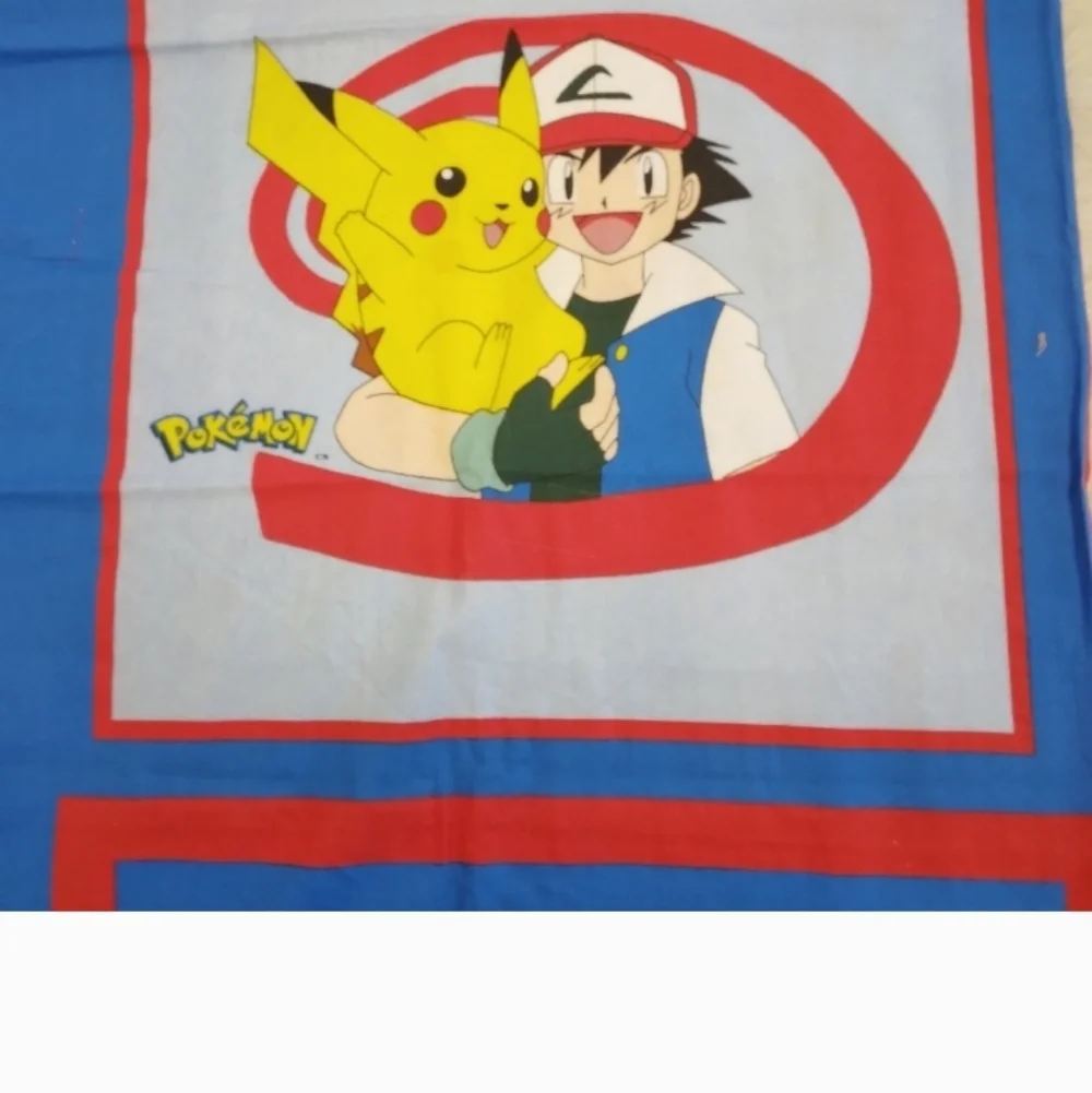 FABRIC PILLOW PANEL Pokemon Picachu & Picachu And Ash, Licensed Nintendo Product